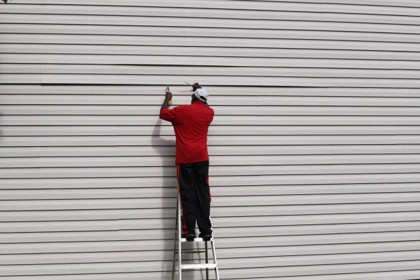 Best Residential Vinyl Siding Installation  in Camden, OH