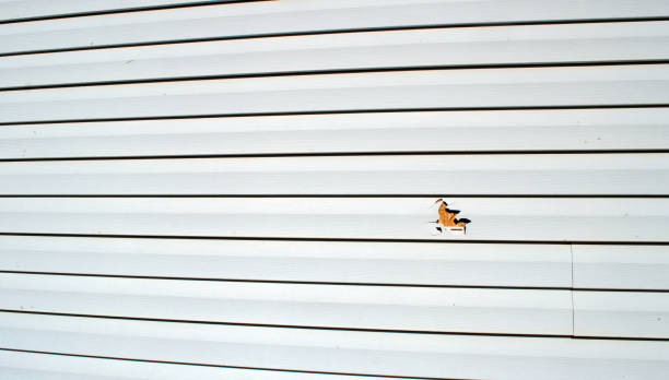 Custom Trim and Detailing for Siding in Camden, OH