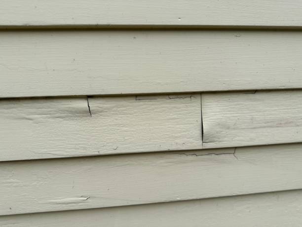 Affordable siding repair and maintenance services in Camden, OH